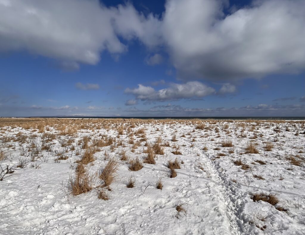 野付半島の道端の写真