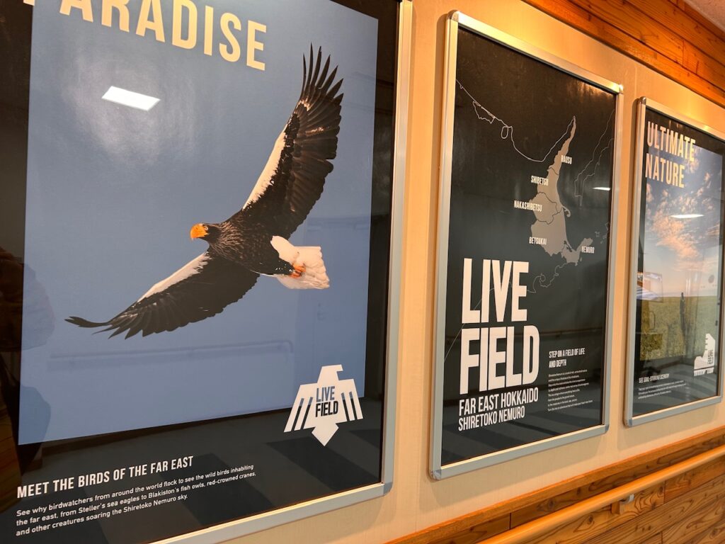 中標津空港の写真